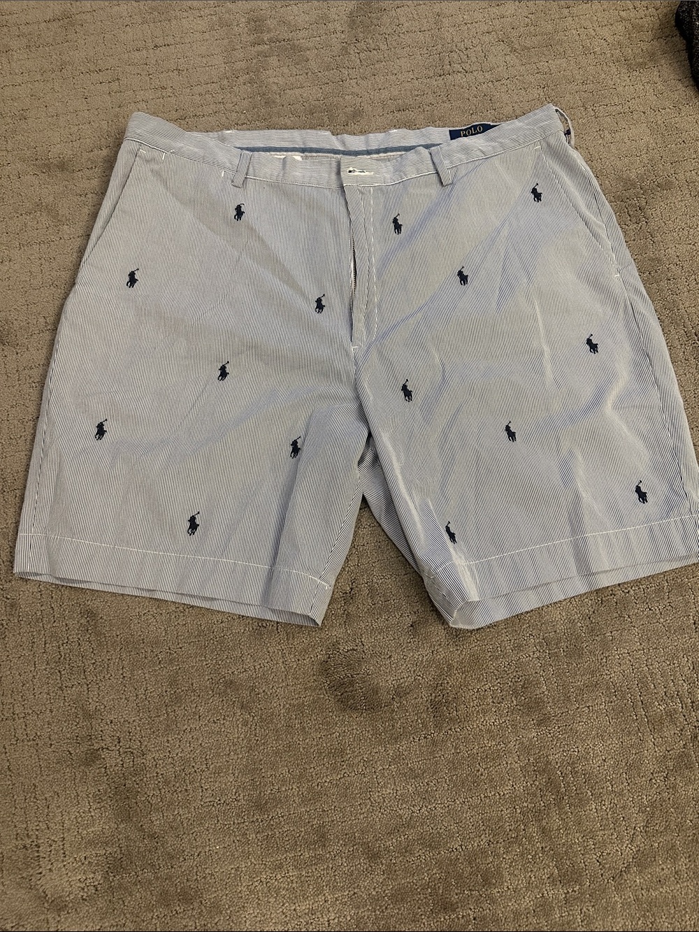 Polo by Ralph Lauren Light Blue Embroidered Pony Cotton Shorts